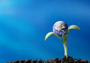 قانون، معیشت و تعلق خاطر به طبیعت