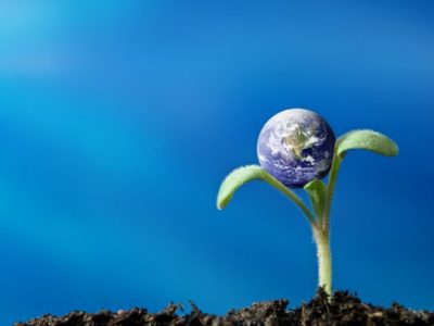 قانون، معیشت و تعلق خاطر به طبیعت