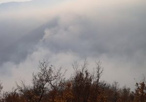 پای شکارچیان متخلف در میان است