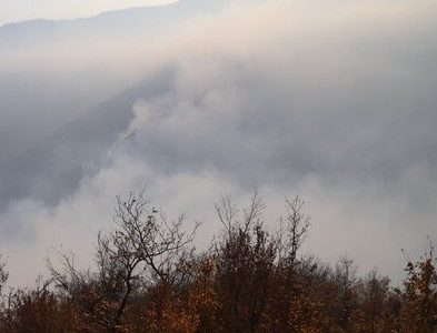 پای شکارچیان متخلف در میان است