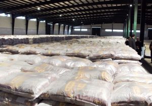 ورود بیش از ۱۰۰۰ تن برنج وارداتی برای تقویت امنیت غذایی مازندران