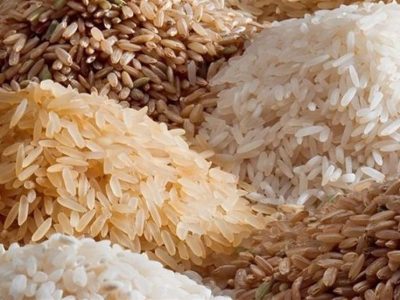 پای برنج هندی به سفره‌ مازندرانی‌ها باز شد