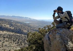 سرشماری سراسری پستانداران شاخص مازندران اجرا شد