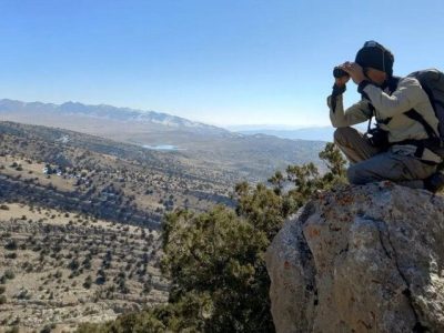 سرشماری سراسری پستانداران شاخص مازندران اجرا شد