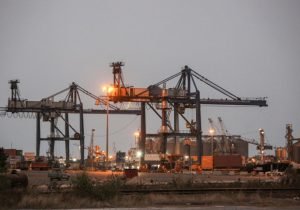 امیرآباد؛ گلوگاه تأمین نهاده‌های دامی کشور