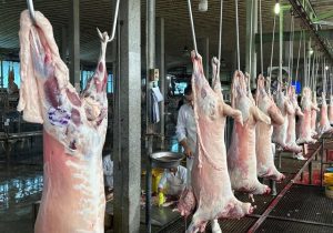 عرضه بیش از ۱۹۱ هزار تن گوشت مرغ و ۱۱ هزار تن گوشت قرمز به بازار