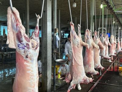 عرضه بیش از ۱۹۱ هزار تن گوشت مرغ و ۱۱ هزار تن گوشت قرمز به بازار