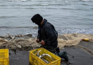 مدیریت منابع، کلید پایداری اقتصاد ساحلی مازندران