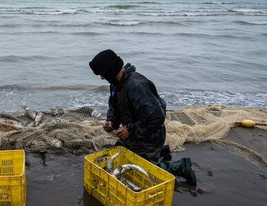 مدیریت منابع، کلید پایداری اقتصاد ساحلی مازندران