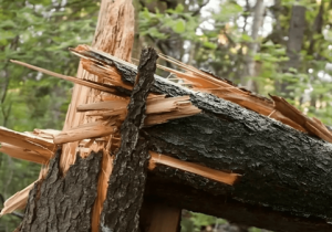 گامی حیاتی برای پیشگیری از بحران