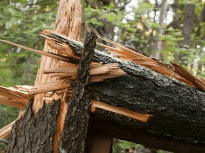 گامی حیاتی برای پیشگیری از بحران