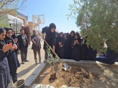  وقتی دستان کوچک، آینده سبز مازندران را می‌کارند