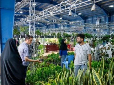 «میارکلا» چگونه قطب اقتصاد خانگی شد؟