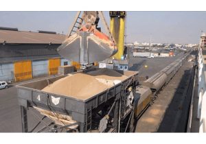  ذخیره استراتژیک گندم از مرز ۹۰ روز گذشت