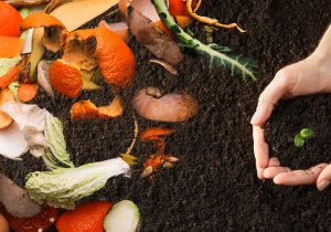  آیا بازار تسلیم زباله‌های مازندران می‌شود؟