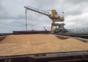 نظارت شبانه‌روزی دامپزشکی بر ترخیص نهاده‌های دامی در بنادر مازندران