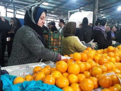 تکاپوی پایتخت کشاورزی ایران در آستانه سال نو