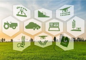 فراخوان برای عبور از خامفروشی و مدیریت علمی آب و خاک