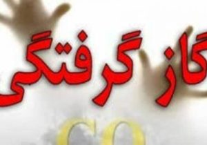 مسمومیت ۵۲ نفربا گاز منوکسیدکربن در سال ۱۴۰۴