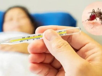 مهار هوشمند «آئدس» در نگین شمال؛ مازندران عاری از تب دنگی