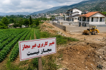 مازندران در جدال قانون، سوداگری و امنیت غذایی
