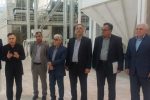 برنج مازندران در مسیر بازآفرینی اقتصادی