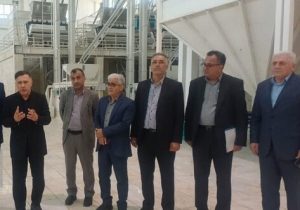 برنج مازندران در مسیر بازآفرینی اقتصادی
