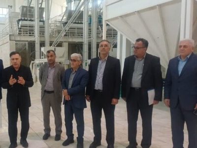 برنج مازندران در مسیر بازآفرینی اقتصادی