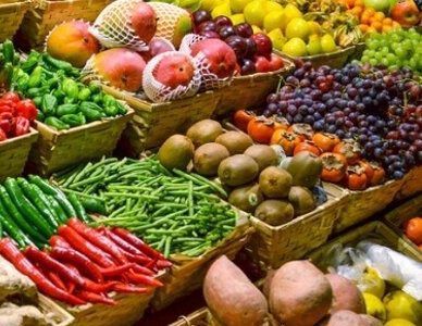 تولید ۱۳۵ میلیون تن محصول کشاورزی در کشور