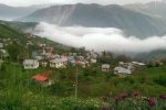 سبزیِ زندگی زیر سایه تهدیدها