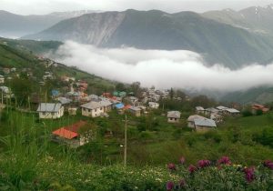 سبزیِ زندگی زیر سایه تهدیدها