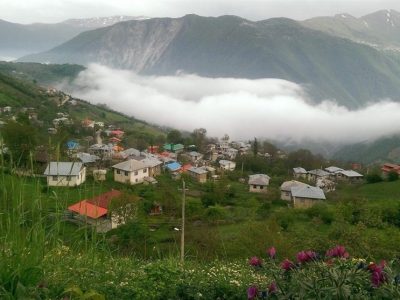 سبزیِ زندگی زیر سایه تهدیدها
