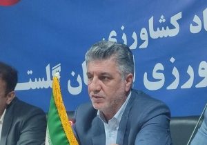 صادرات سیب زمینی بدون محدودیت ادامه دارد؛ تامین کافی گوشت مرغ در گلستان