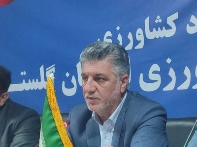 صادرات سیب زمینی بدون محدودیت ادامه دارد؛ تامین کافی گوشت مرغ در گلستان