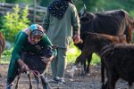 روستاهای مازندران در مسیر جهش توسعه