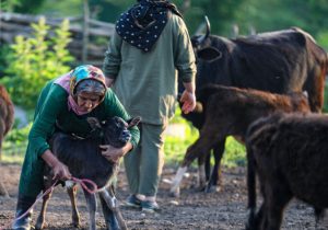 روستاهای مازندران در مسیر جهش توسعه