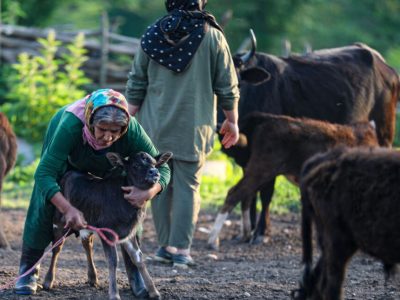 روستاهای مازندران در مسیر جهش توسعه