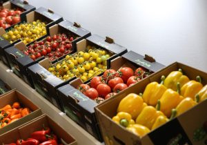 از مزرعه تا سفره؛ دلالی، حلقه گمشده عدالت در بازار کشاورزی