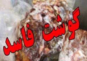 شکارِ ۵۲ کیلوییِ «قاتل خاموش» در تنکابن/ وقتی بازرسان، سلامت مردم را با گوشت فاسد معاوضه نمیکنند