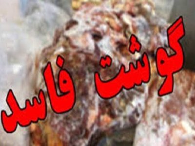 شکارِ ۵۲ کیلوییِ «قاتل خاموش» در تنکابن/ وقتی بازرسان، سلامت مردم را با گوشت فاسد معاوضه نمیکنند