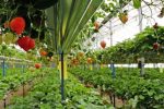  دهیاران برای کاهش وابستگی به اعتبارهای دولتی برنامه داشته باشند