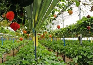  دهیاران برای کاهش وابستگی به اعتبارهای دولتی برنامه داشته باشند