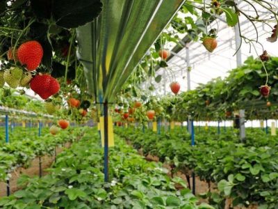  دهیاران برای کاهش وابستگی به اعتبارهای دولتی برنامه داشته باشند