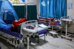 کاهش پنج درصدی موالید گیلان در فصل بهار؛ بیشترین فرزندآوری در ماسال