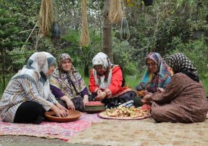 برگزاری کارگاه تخصصی فروش آنلاین محصولات تولیدی زنان روستایی و عشایری گیلان