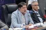 حمایت از ۱۹۶ بنگاه اقتصادی گلستان موجب حفظ ۶ هزار شغل شد