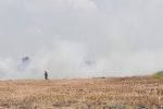 هشدار محیط‌زیست به شالیکاران؛ آتش زدن کاه و کلش با حبس و جریمه همراه است