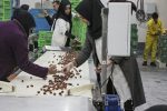 تعاون؛ سهمی که روی کاغذ بزرگ است و در اقتصاد کوچک