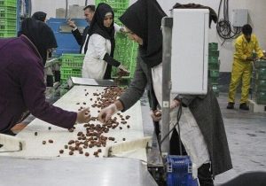 تعاون؛ سهمی که روی کاغذ بزرگ است و در اقتصاد کوچک