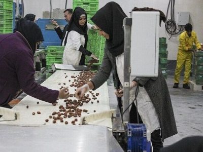 تعاون؛ سهمی که روی کاغذ بزرگ است و در اقتصاد کوچک